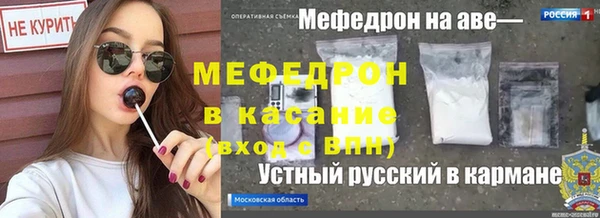 apvp Алексин