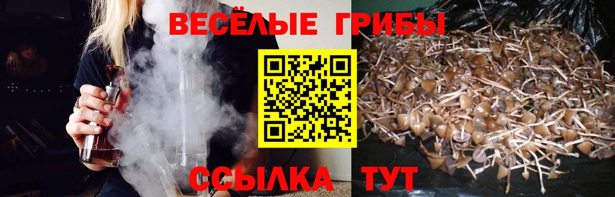 Камышин  Галлюциногенные грибы ЛСД  Вход с VPN  Галлюциногенные грибы MAGIC MUSHROOMS 