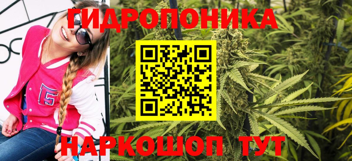 Марихуана конопля  Канабис AK-47  Вход с VPN  Канабис THC 21%  Бошки Шишки ГИДРОПОН  Камышин 
